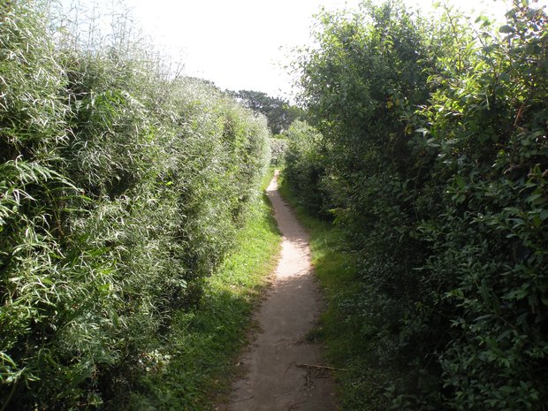  GR34